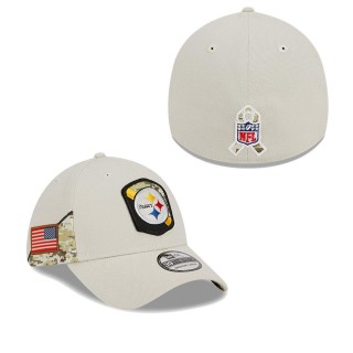 2023 Salute To Service Veterans Steelers Stone Flex Hat