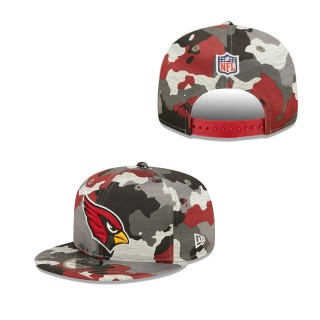 Arizona Cardinals Hat 103066