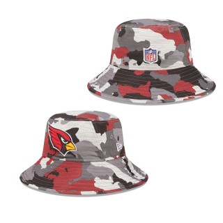 Arizona Cardinals Hat 103000