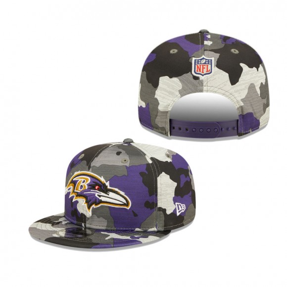 Baltimore Ravens Hat 103068