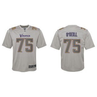 Brian O'neill Youth Minnesota Vikings Gray Atmosphere Game Jersey