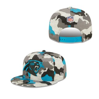 Carolina Panthers Hat 103070