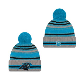 Carolina Panthers Cold Weather Gray Sport Knit Hat