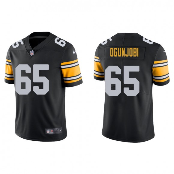 Men's Pittsburgh Steelers Larry Ogunjobi Black Alternate Vapor Limited Jersey
