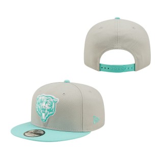 Gray Mint Chicago Bears Two-Tone Color Pack 9FIFTY Snapback Hat
