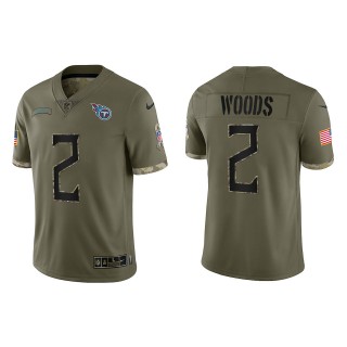 Robert Woods Tennessee Titans Olive 2022 Salute To Service Limited Jersey
