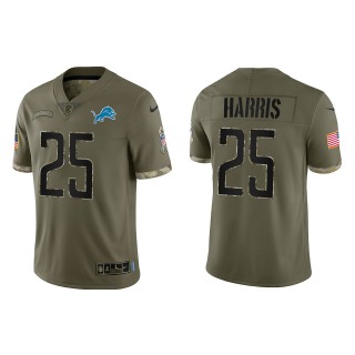 Will Harris Detroit Lions Olive 2022 Salute To Service Limited Jersey